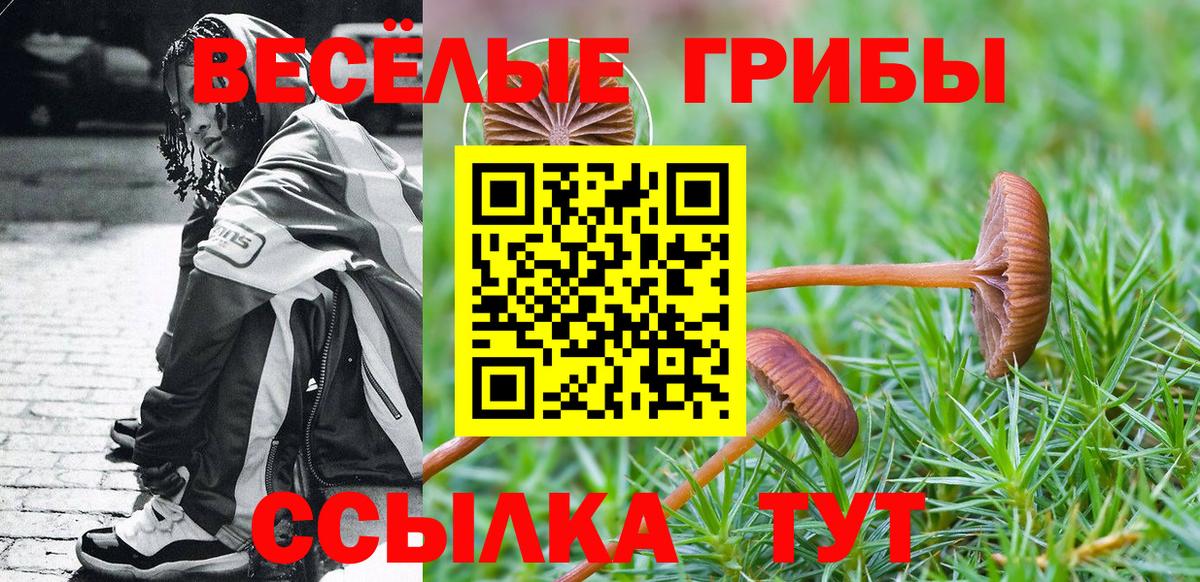 Псилоцибиновые грибы Psilocybe  Псилоцибиновые грибы мухоморы  Вход с VPN  Шелехов 